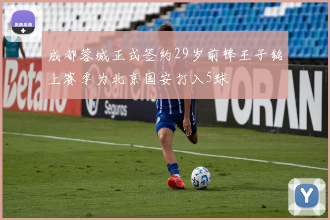 成都蓉城正式签约29岁前锋王子铭上赛季为北京国安打入5球