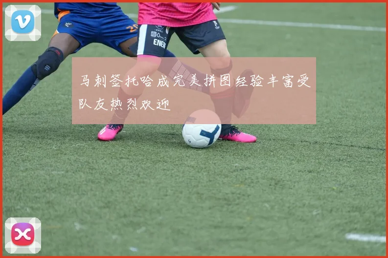 马刺签托哈成完美拼图经验丰富受队友热烈欢迎