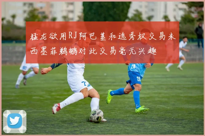 猛龙欲用RJ阿巴基和选秀权交易米西墨菲鹈鹕对此交易毫无兴趣